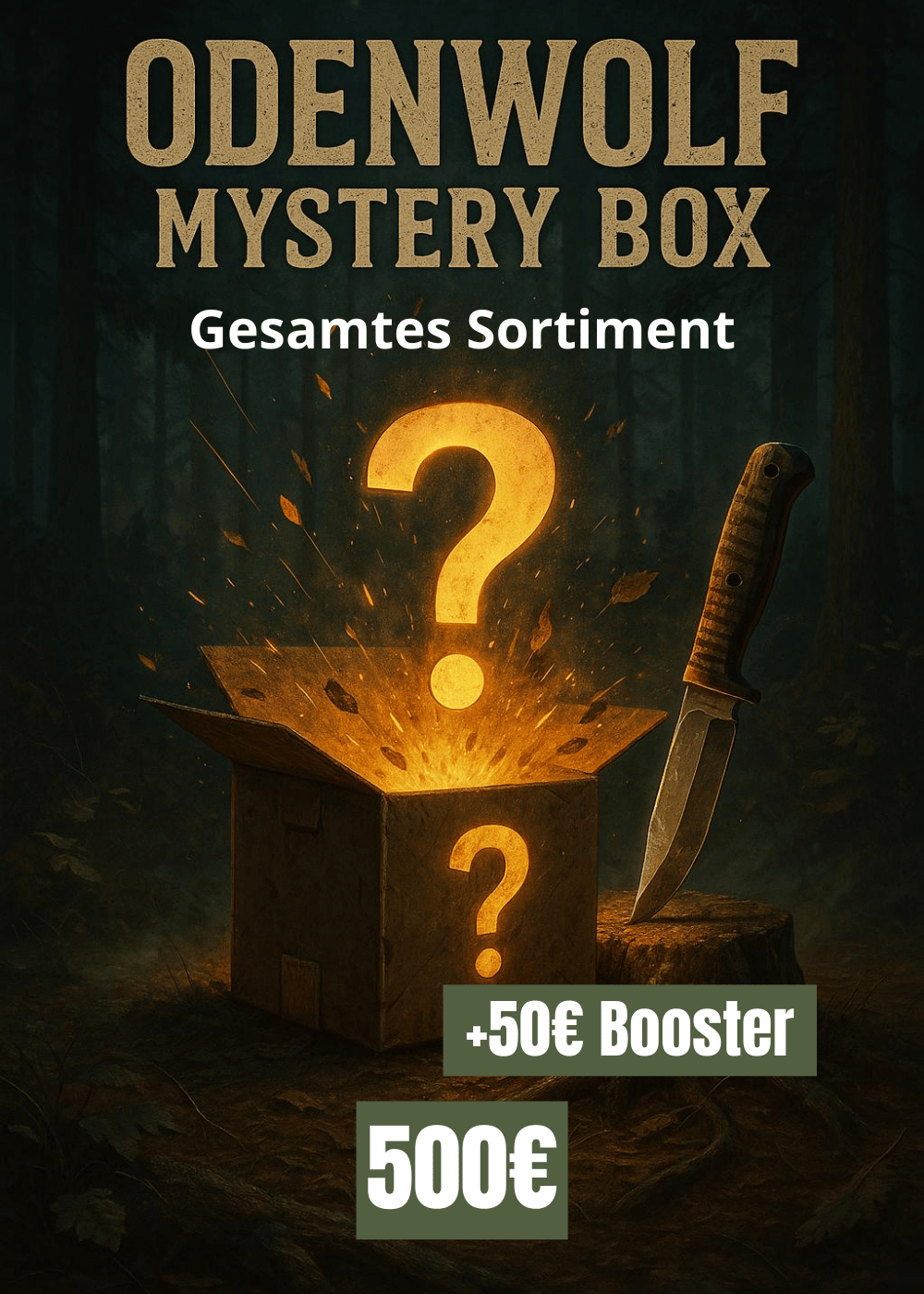Mystery Box 500€ (Inkl. Booster) - Gesamtes Sortiment