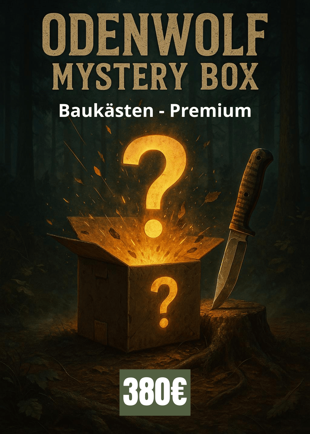 Baukästen Mystery Box - Premium – Odenwolf.shop